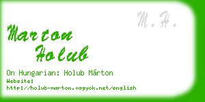 marton holub business card